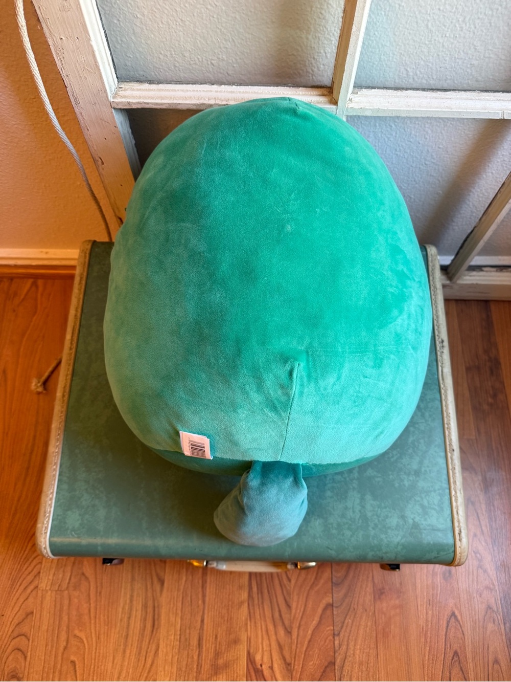 Squishmallows Selassi the Platypus – 14” Green Soft Plush w White Soft Belly - Picture 3 of 5